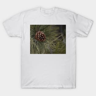 Pine Cone T-Shirt